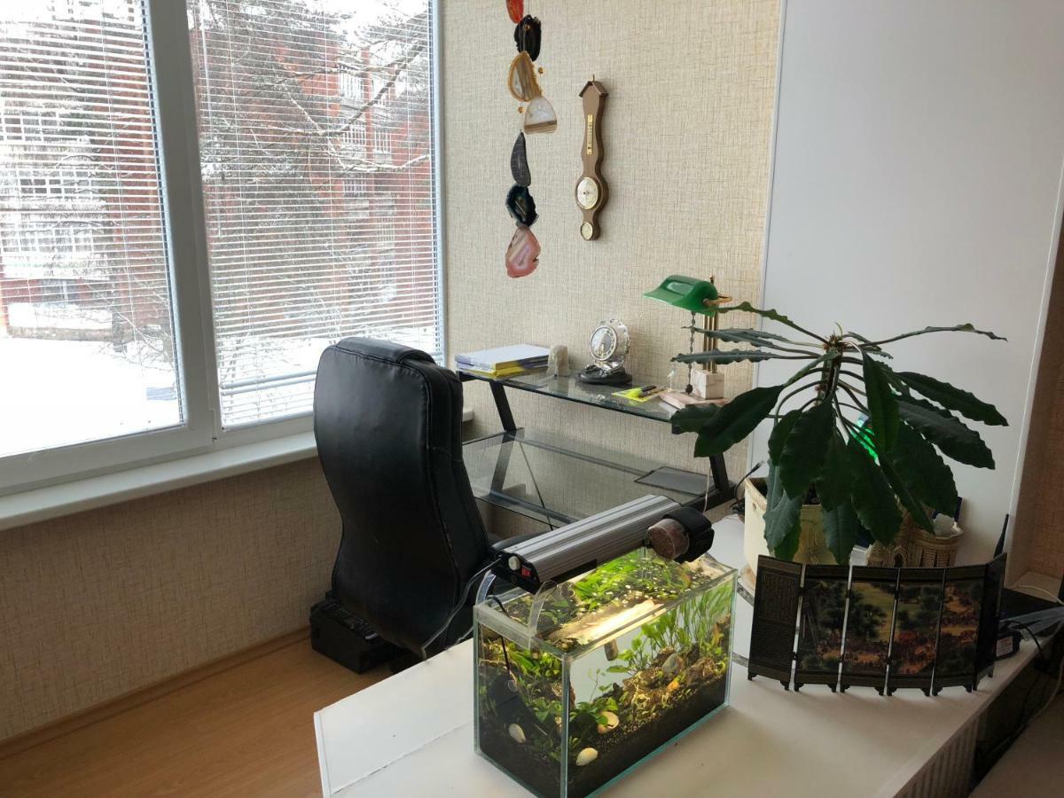 ויסגינס Visagino Apartment מראה חיצוני תמונה